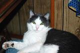 20050218_Kitty Kat_073